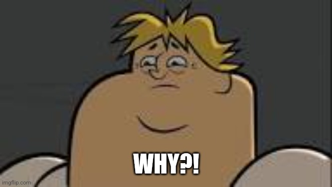 WHY?! | made w/ Imgflip meme maker