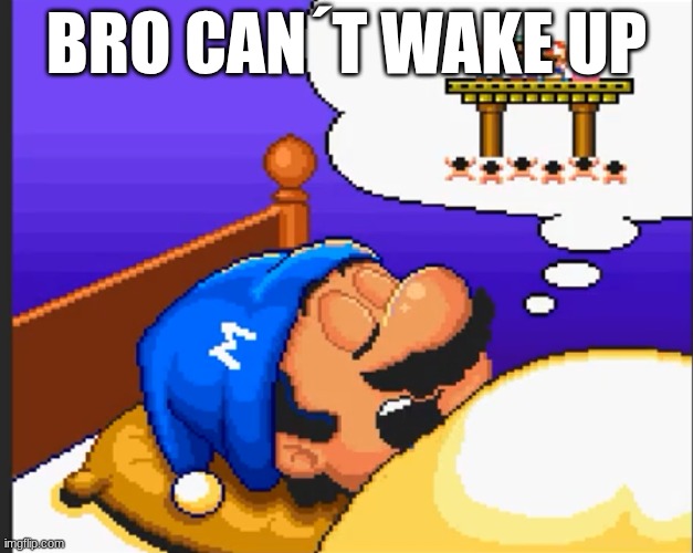 WAKE UP SMB2 | BRO CAN´T WAKE UP | image tagged in mario | made w/ Imgflip meme maker