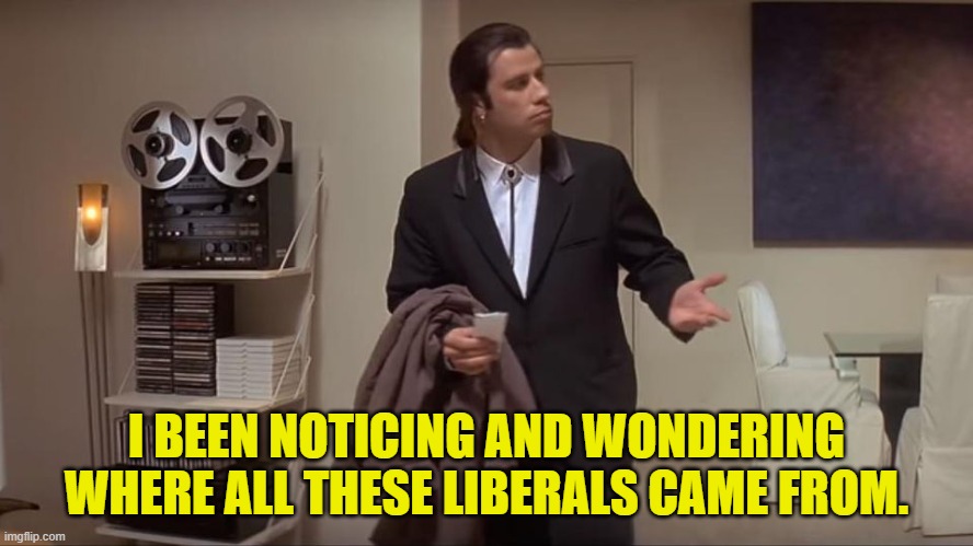 I BEEN NOTICING AND WONDERING WHERE ALL THESE LIBERALS CAME FROM. | made w/ Imgflip meme maker