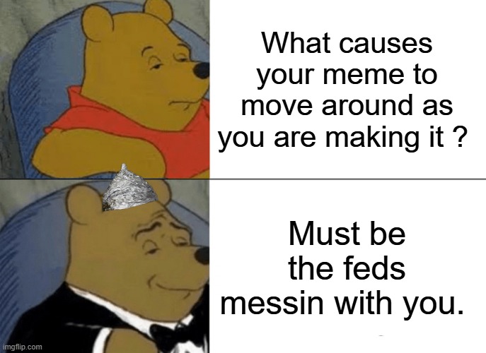 FEDBEARS " It's a Beeear" a Quote from TED | What causes your meme to move around as you are making it ? Must be the feds messin with you. | image tagged in memes,tuxedo winnie the pooh | made w/ Imgflip meme maker