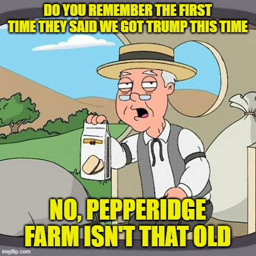 Pepperidge Farm Remembers Meme | DO YOU REMEMBER THE FIRST TIME THEY SAID WE GOT TRUMP THIS TIME NO, PEPPERIDGE FARM ISN'T THAT OLD | image tagged in memes,pepperidge farm remembers | made w/ Imgflip meme maker