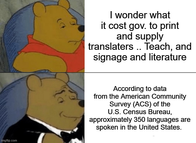 US is no longer a melting pot, its a big pot of Menudo. They don't come to assimulate they come to tear down from within. | I wonder what it cost gov. to print and supply translaters .. Teach, and signage and literature; According to data from the American Community Survey (ACS) of the U.S. Census Bureau, approximately 350 languages are spoken in the United States. | image tagged in memes,tuxedo winnie the pooh | made w/ Imgflip meme maker