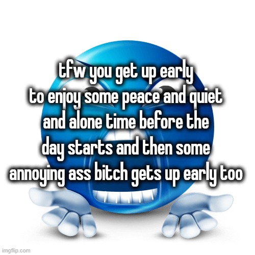 tfw you get up early to enjoy some peace and quiet and alone time before the day starts and then some annoying ass bitch gets up early too | made w/ Imgflip meme maker