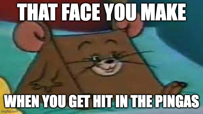 SMG-1 | THAT FACE YOU MAKE; WHEN YOU GET HIT IN THE PINGAS | image tagged in smg-1,memes,funny,pingas,tom and jerry,cheese | made w/ Imgflip meme maker