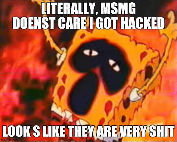 Fuck em all | LITERALLY, MSMG DOENST CARE I GOT HACKED; LOOK S LIKE THEY ARE VERY SHIT | image tagged in spogery 666 | made w/ Imgflip meme maker