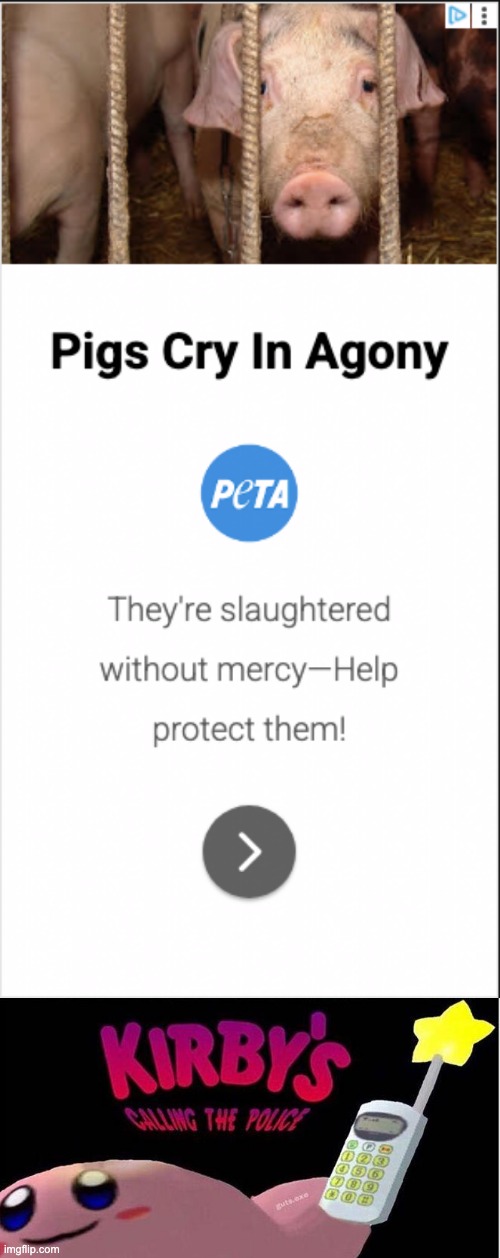 How dare you sponsor this on Imgflip. You are so done... | image tagged in kirby's calling the police,peta,pig,kirby | made w/ Imgflip meme maker