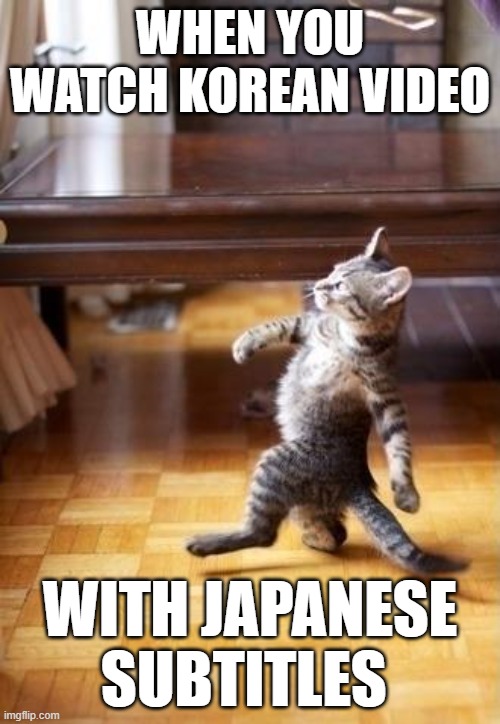 japanese subtitles | WHEN YOU WATCH KOREAN VIDEO; WITH JAPANESE SUBTITLES | image tagged in memes,cool cat stroll | made w/ Imgflip meme maker