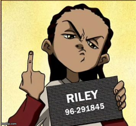 Riley middle finger | image tagged in riley middle finger | made w/ Imgflip meme maker