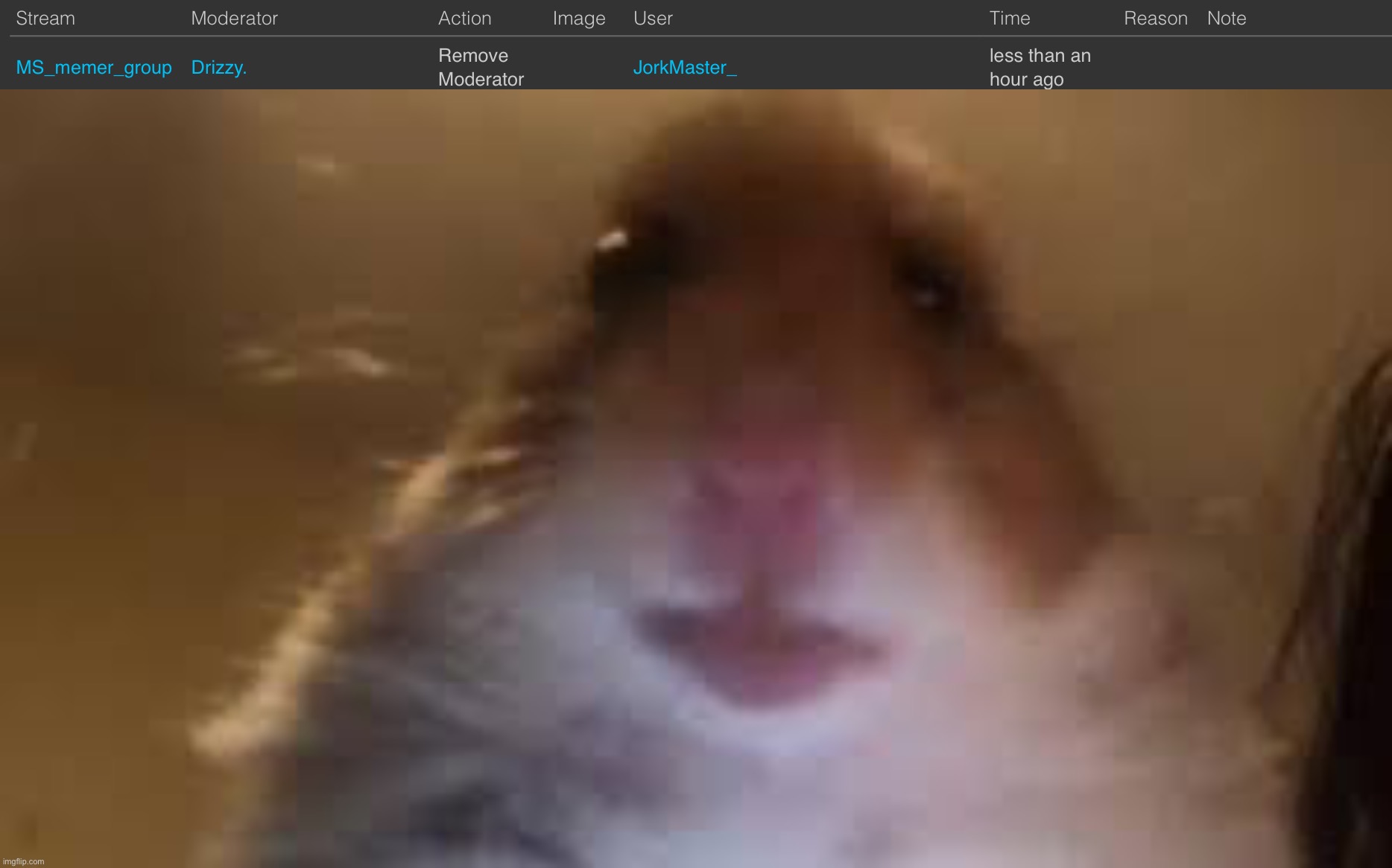 image tagged in facetime hamster | made w/ Imgflip meme maker