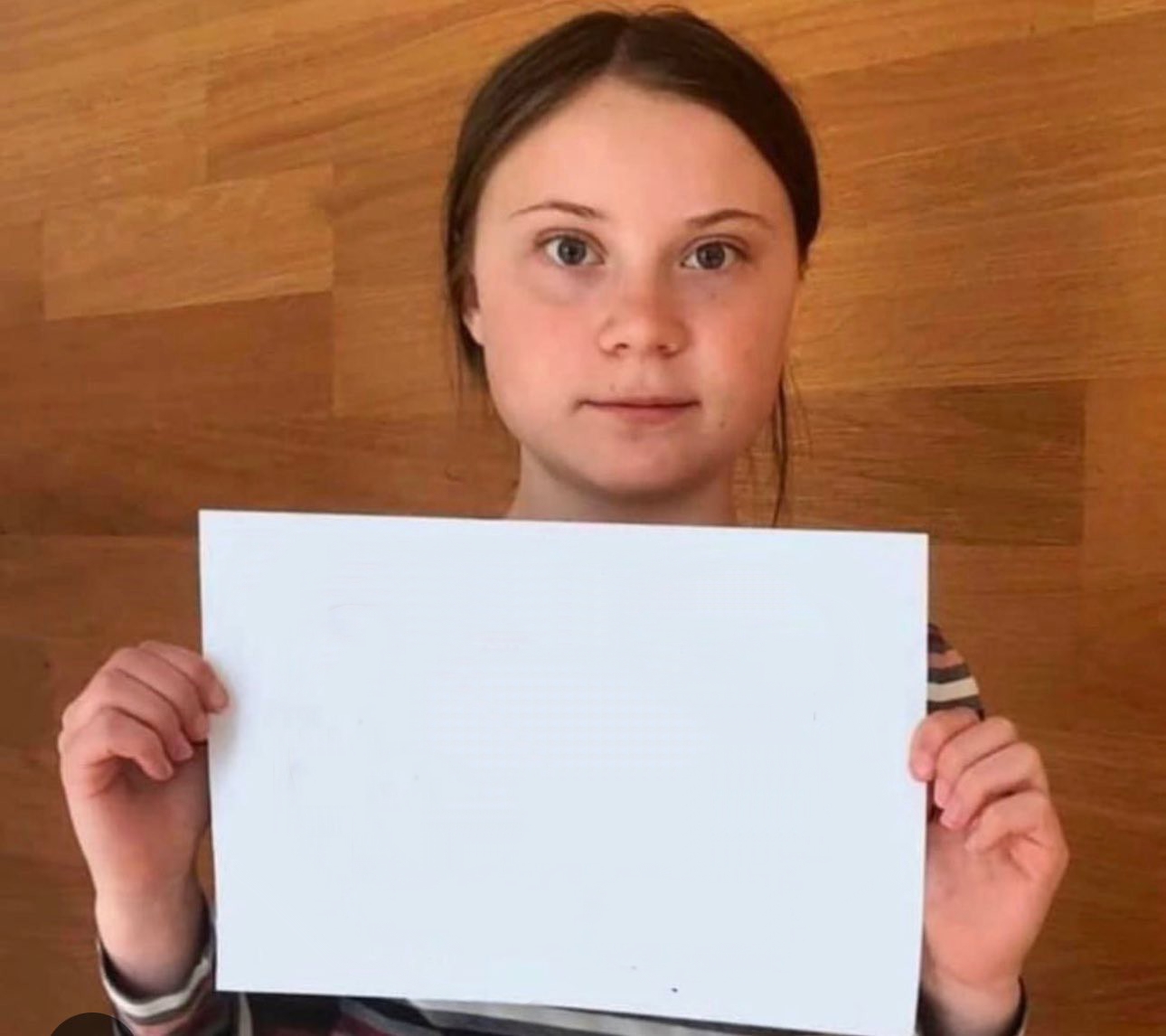 Greta Protest Blank Meme Template