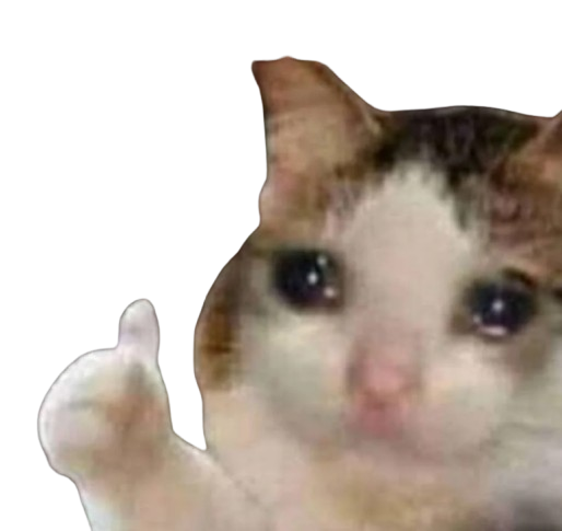 cat thumbsup Blank Meme Template