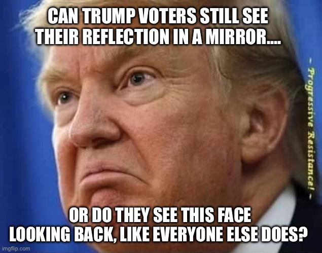 Optical Illusions are crazy…. | CAN TRUMP VOTERS STILL SEE THEIR REFLECTION IN A MIRROR…. OR DO THEY SEE THIS FACE LOOKING BACK, LIKE EVERYONE ELSE DOES? | image tagged in nasty trump | made w/ Imgflip meme maker