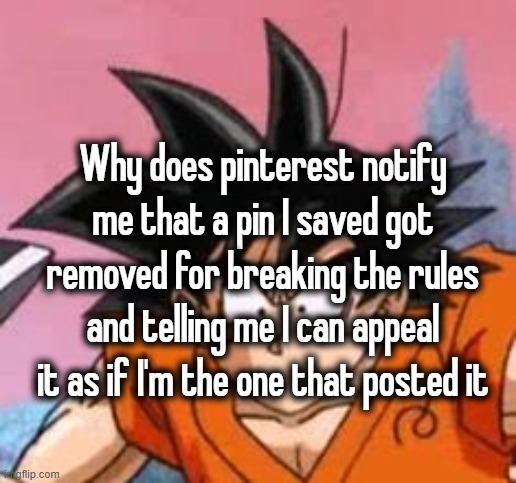 Why does pinterest notify me that a pin I saved got removed for breaking the rules and telling me I can appeal it as if I'm the one that posted it | made w/ Imgflip meme maker
