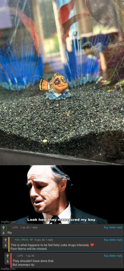 Nemo... | image tagged in nemo,finding nemo | made w/ Imgflip meme maker