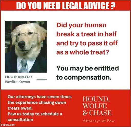 Calling All Dogs ! | DO YOU NEED LEGAL ADVICE ? | image tagged in dogs,legal,good advice | made w/ Imgflip meme maker