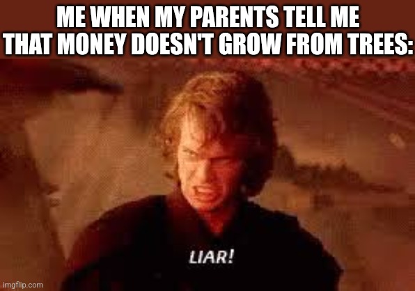 NOOOOOO!!!! | ME WHEN MY PARENTS TELL ME THAT MONEY DOESN'T GROW FROM TREES: | image tagged in anakin liar,revenge of the sith,star wars,liar liar pants on fire,money man,tree | made w/ Imgflip meme maker