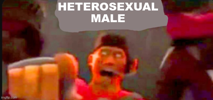 Tf2 scout pointing | HETEROSEXUAL MALE | image tagged in tf2 scout pointing | made w/ Imgflip meme maker
