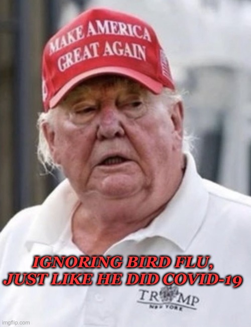 Ignorant Old Man | IGNORING BIRD FLU, JUST LIKE HE DID COVID-19 | image tagged in trump,gop,maga,nazi,fascist,bird flu | made w/ Imgflip meme maker