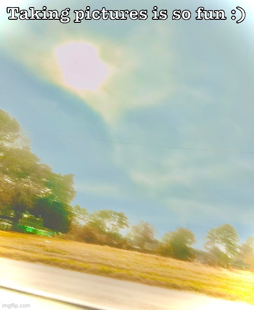 Tbh its just pictures of trees lol | Taking pictures is so fun :) | made w/ Imgflip meme maker