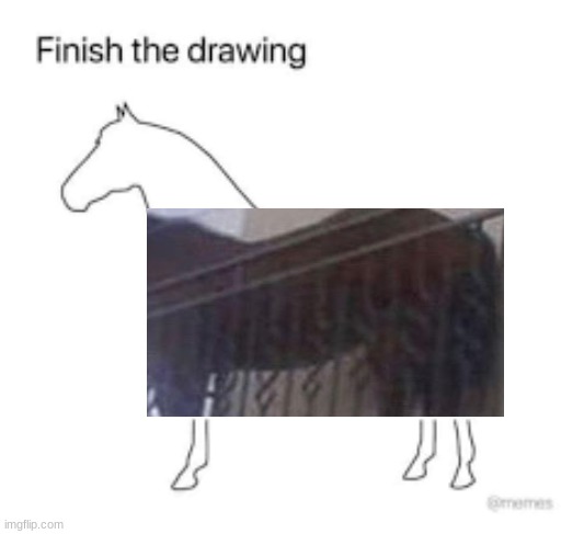 Finish the drawing | image tagged in finish the drawing | made w/ Imgflip meme maker