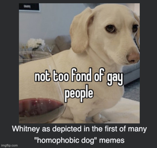 wikipedia homophobic dog | made w/ Imgflip meme maker