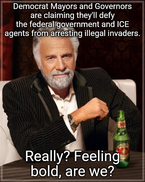 The Federal Government has the legal authority to arrest and deport illegals in this country. Good luck, losers. | Democrat Mayors and Governors are claiming they'll defy the federal government and ICE agents from arresting illegal invaders. Really? Feeling bold, are we? | image tagged in memes,the most interesting man in the world | made w/ Imgflip meme maker