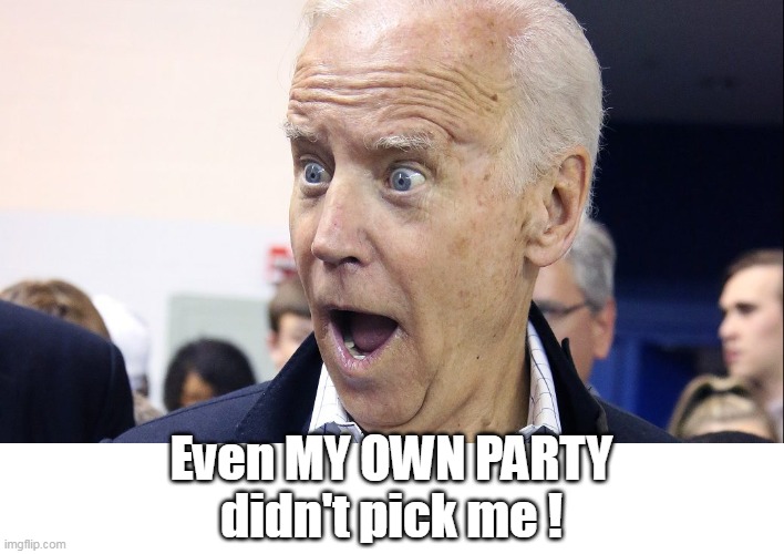 Even MY OWN PARTY
didn't pick me ! | made w/ Imgflip meme maker