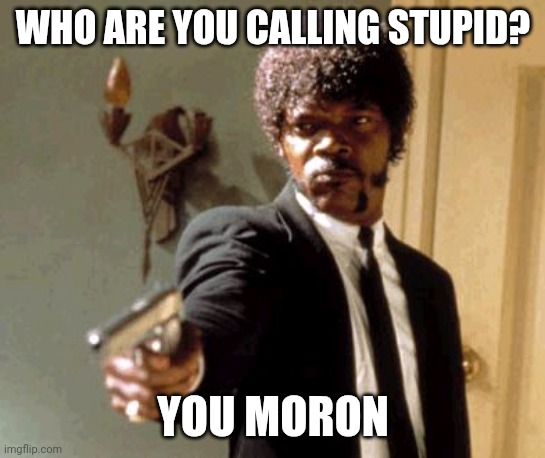 Stupid | WHO ARE YOU CALLING STUPID? YOU MORON | image tagged in memes,say that again i dare you,funny memes | made w/ Imgflip meme maker