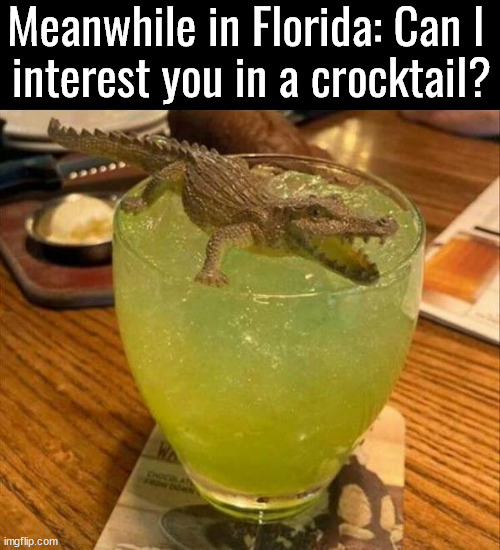 Great drink | Meanwhile in Florida: Can I 
interest you in a crocktail? | image tagged in eyeroll | made w/ Imgflip meme maker