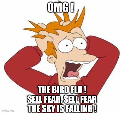 Fry Freaking Out | OMG ! THE BIRD FLU !
SELL FEAR, SELL FEAR
THE SKY IS FALLING ! | image tagged in fry freaking out | made w/ Imgflip meme maker