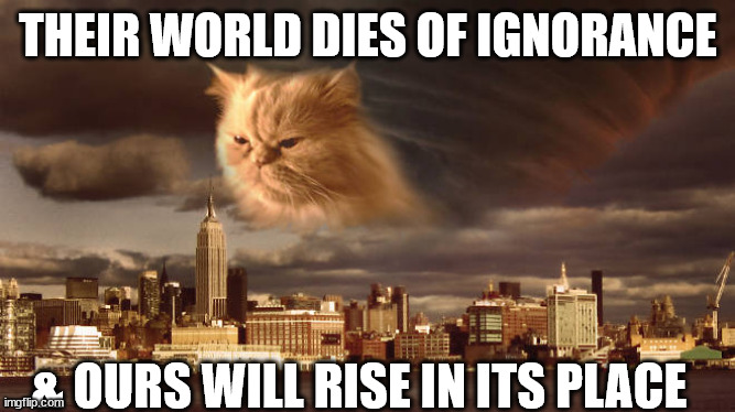 End of the World Cat | THEIR WORLD DIES OF IGNORANCE & OURS WILL RISE IN ITS PLACE | image tagged in end of the world cat | made w/ Imgflip meme maker