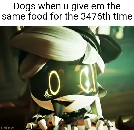 Cyn | Dogs when u give em the same food for the 3476th time | image tagged in cyn,murder drones,dogs,memes,cute,funny | made w/ Imgflip meme maker