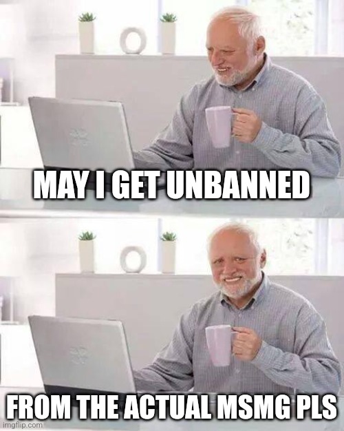 Hide the Pain Harold Meme | MAY I GET UNBANNED; FROM THE ACTUAL MSMG PLS | image tagged in memes,hide the pain harold | made w/ Imgflip meme maker