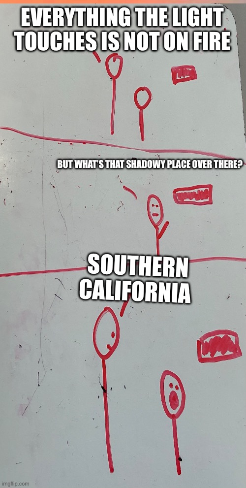 Southern California | EVERYTHING THE LIGHT TOUCHES IS NOT ON FIRE; BUT WHAT’S THAT SHADOWY PLACE OVER THERE? SOUTHERN CALIFORNIA | image tagged in simba shadowy place | made w/ Imgflip meme maker