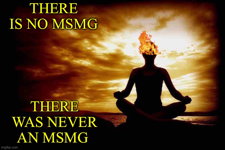 This is supposed to be a cringe fw msmg meme btw | THERE IS NO MSMG; THERE WAS NEVER AN MSMG | image tagged in a few zen thoughts for those who take life too seriously | made w/ Imgflip meme maker