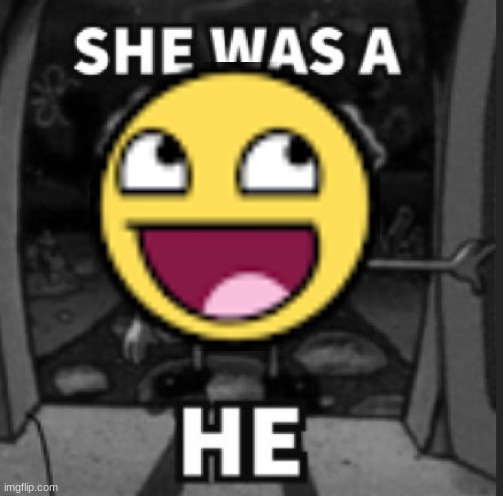 She was a he | image tagged in she was a he | made w/ Imgflip meme maker