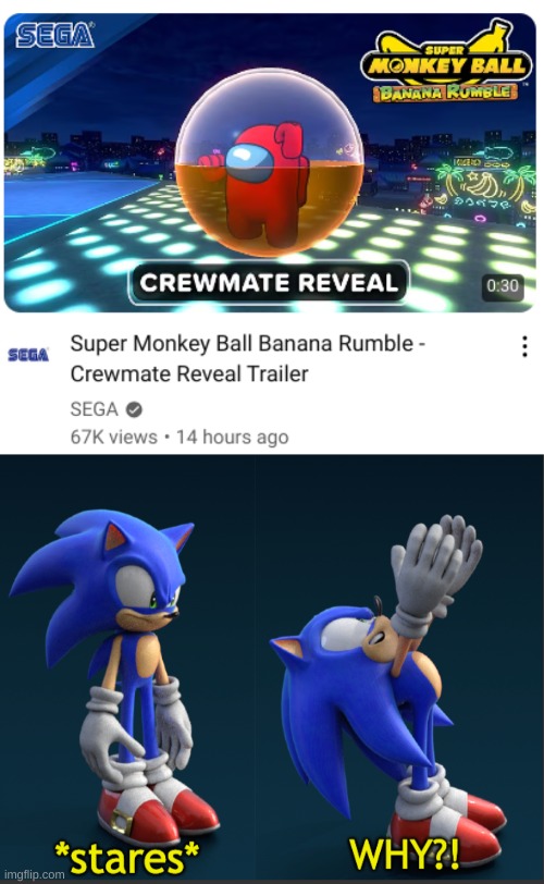 WHY DID THEY DO THIS | image tagged in stares why,sonic,youtube,among us,sega | made w/ Imgflip meme maker