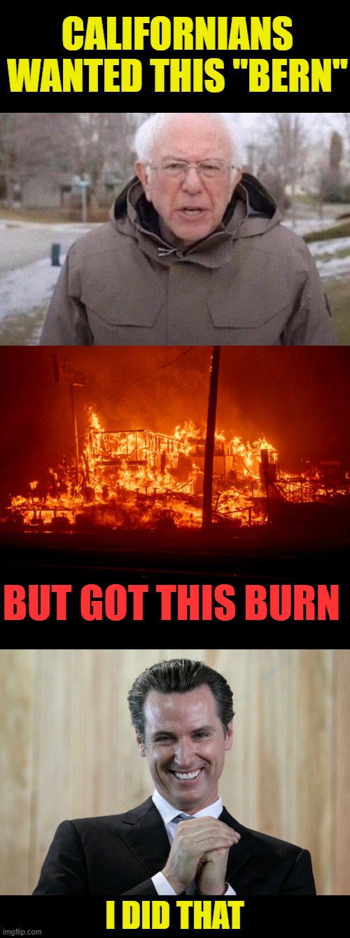 "Bern" BurnBuy low sell high..The Pelsoi family will make bank | CALIFORNIANS WANTED THIS "BERN"; BUT GOT THIS BURN; I DID THAT | image tagged in i am once again asking,scheming gavin newsom,burn,california fires | made w/ Imgflip meme maker