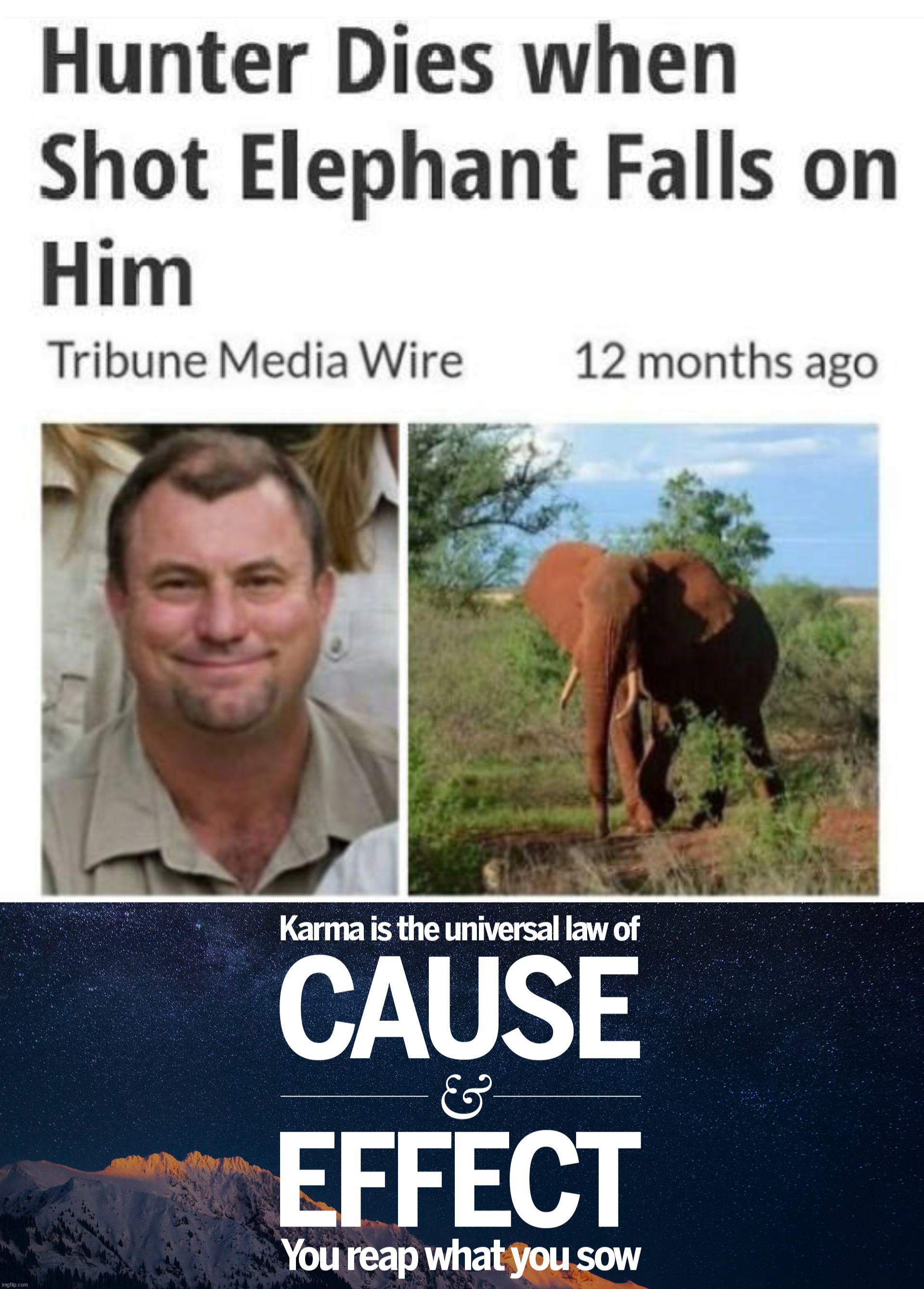 Left him feeling a little flat | image tagged in karma's a bitch,elephant | made w/ Imgflip meme maker