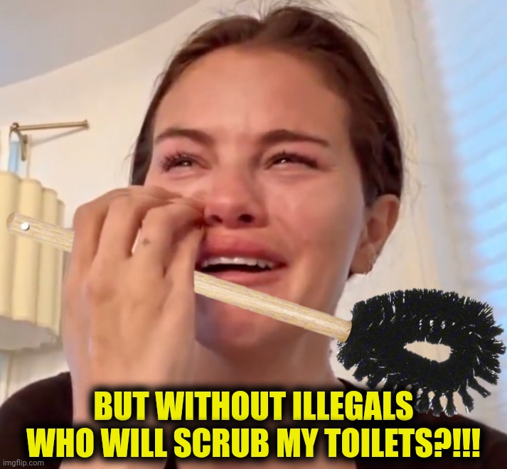 BUT WITHOUT ILLEGALS WHO WILL SCRUB MY TOILETS?!!! | made w/ Imgflip meme maker