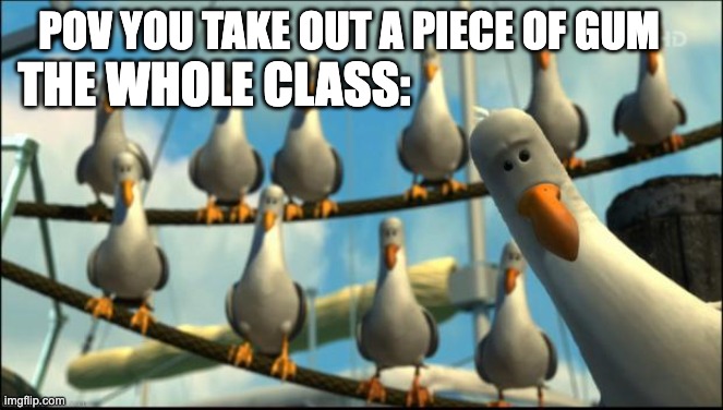 bro everytime | POV YOU TAKE OUT A PIECE OF GUM; THE WHOLE CLASS: | image tagged in nemo seagulls mine,memes,funny,school,gum,relatable | made w/ Imgflip meme maker