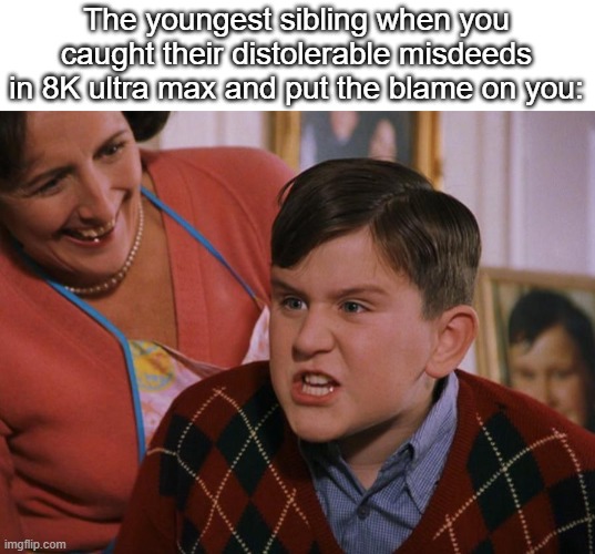 Youngest siblings when you caught them trying to get you in trouble: | The youngest sibling when you caught their distolerable misdeeds in 8K ultra max and put the blame on you: | image tagged in harry potter dudley's birthday,relatable,funny,memes,family memes,in the s- | made w/ Imgflip meme maker