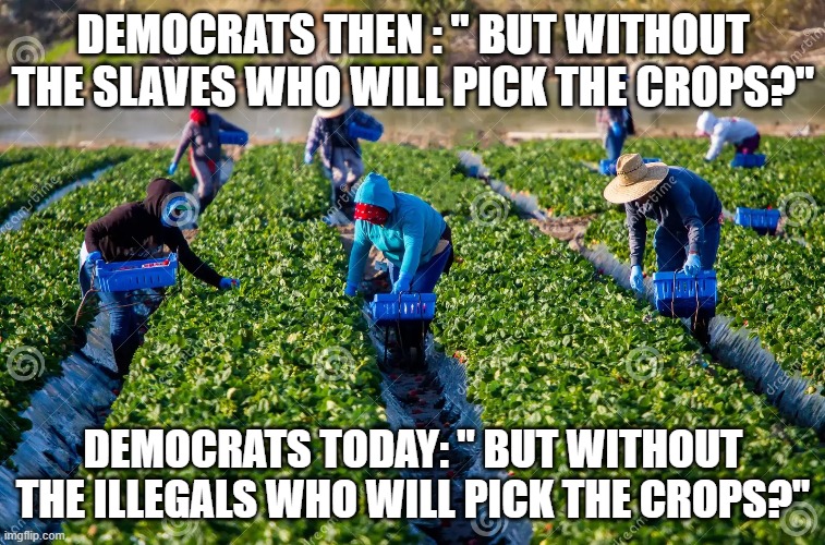 Liberals didn;t like the machine in the other meme | DEMOCRATS THEN : " BUT WITHOUT THE SLAVES WHO WILL PICK THE CROPS?"; DEMOCRATS TODAY: " BUT WITHOUT THE ILLEGALS WHO WILL PICK THE CROPS?" | made w/ Imgflip meme maker