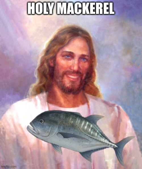 HOLY MACKEREL | image tagged in memes,smiling jesus | made w/ Imgflip meme maker