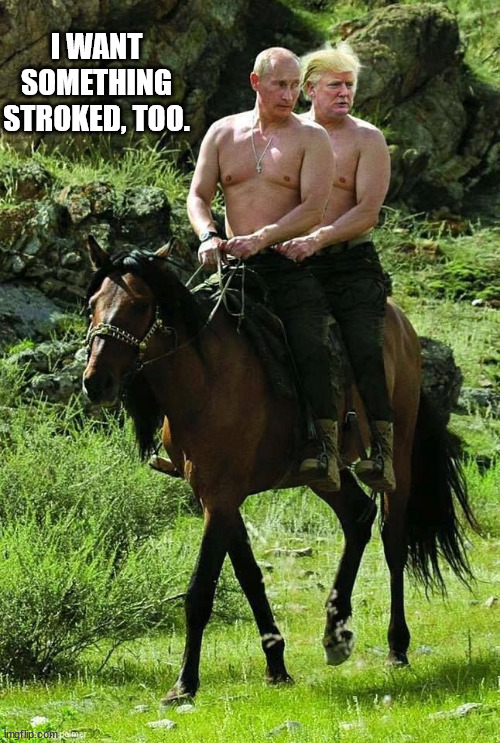 Trump Putin | I WANT SOMETHING STROKED, TOO. | image tagged in trump putin | made w/ Imgflip meme maker