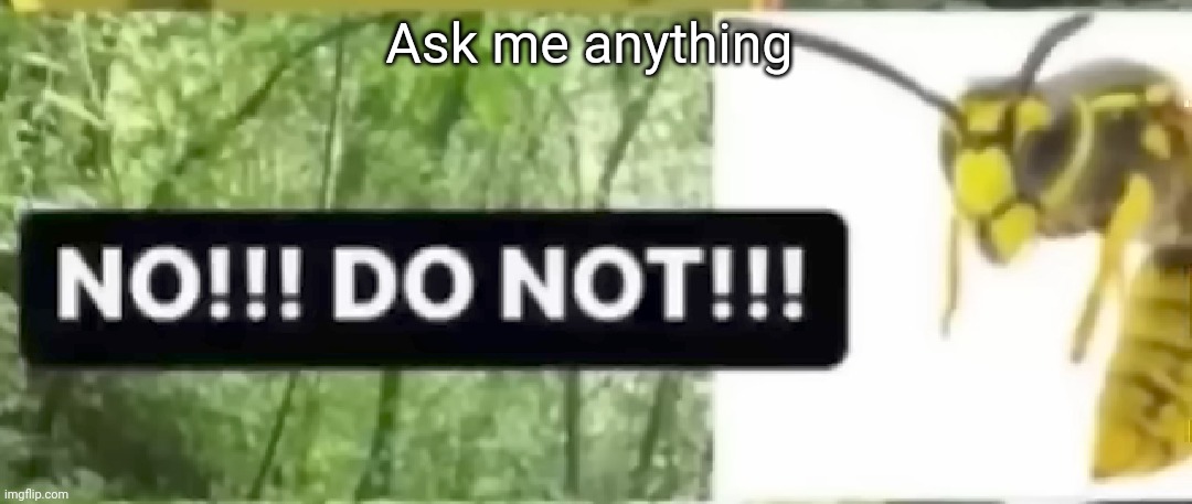 don't | Ask me anything | image tagged in don't | made w/ Imgflip meme maker