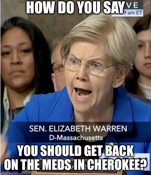 HOW DO YOU SAY; YOU SHOULD GET BACK ON THE MEDS IN CHEROKEE? | image tagged in elizabeth warren,pocahontas,politics,political meme | made w/ Imgflip meme maker