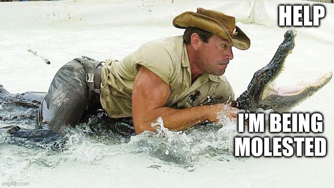 HELP I’M BEING MOLESTED | image tagged in alligator wrestling | made w/ Imgflip meme maker