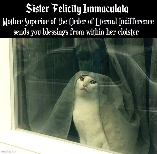 Felicity:  a Firmly Faithful Feline | image tagged in vince vance,cats,nun,religious,sister,funny cat memes | made w/ Imgflip meme maker