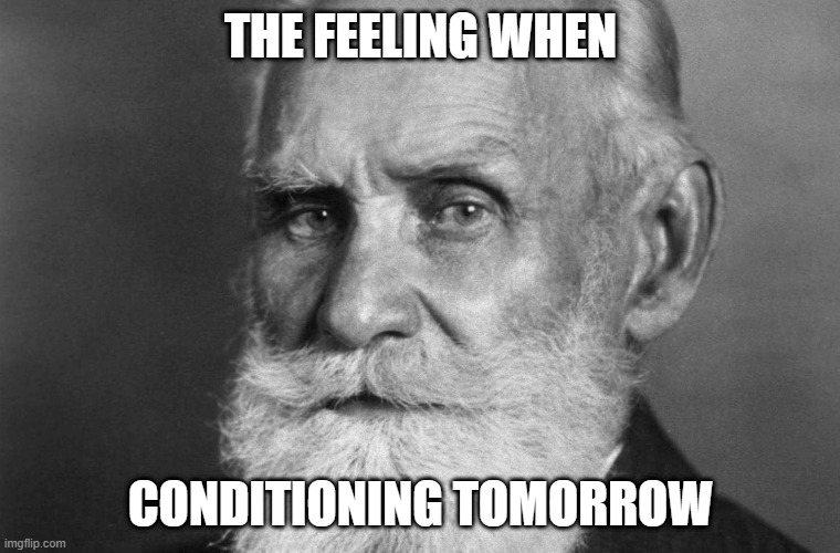 The feeling when conditioning tomorrow | THE FEELING WHEN; CONDITIONING TOMORROW | image tagged in psychology | made w/ Imgflip meme maker